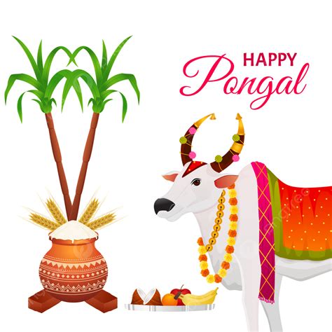 Makar Sankranti Greetings Happy Pongal, Pongal Puja, Sankranti, Lohri PNG and Vector with ...