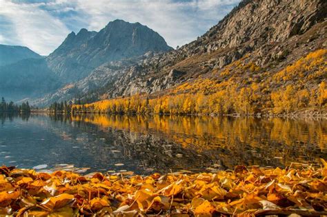 Fall colors peak in Yosemite, Eastern Sierra this week - SFGate