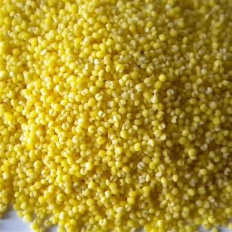 Yellow Millet, Packaging Size: 50,kg at Rs 65/kilogram in Salem | ID: 13210170797