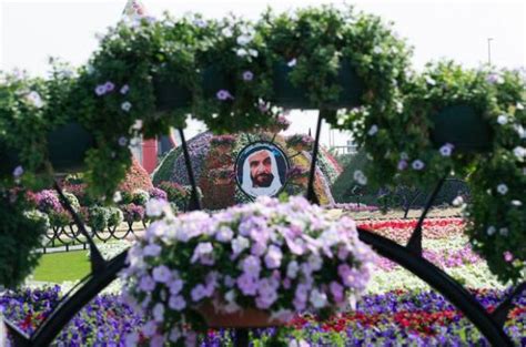 Flowers Pictures | Flowers Wallpapers: Dubai Flower Show