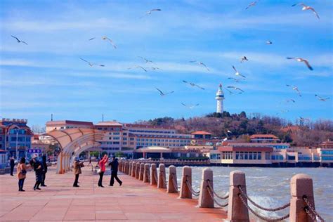 Yantai makes remarkable improvements in past five years | govt.chinadaily.com.cn