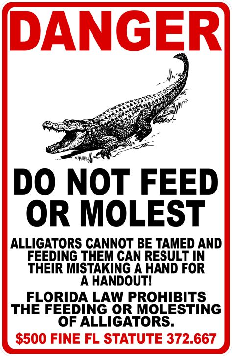 Danger Do Not Feed or Molest Alligators Florida Statute 372.667 Sign ...