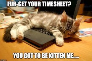 Check Out Our Top Timesheet Memes! - TimeCamp