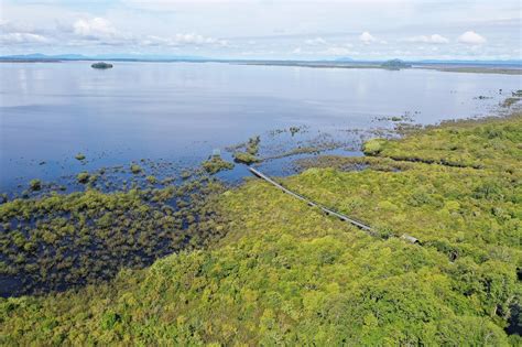 Lindungi Lahan Gambut, Lindungi Fauna Indonesia – Siti Mustiani