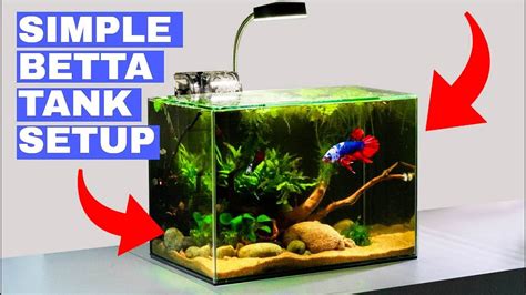 Betta Fish Tank : The 7 Best Tanks For Your Betta Fish 2020 Fishkeeping Today - Treat your betta ...