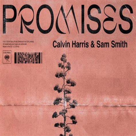 Stream PROMISES - Calvin Harris & Sam Smith | Cover by Rishabh Mahajan ...