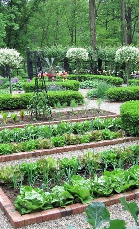 Formal vegetable garden layout | Home vegetable garden design, Home vegetable garden, Garden ...