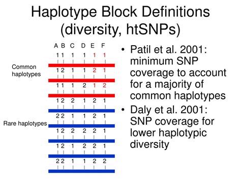 PPT - Haplotype Blocks: or how I learned to stop worrying and love the ...