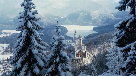 Download Germany Snow Winter Forest Man Made Neuschwanstein Castle HD Wallpaper