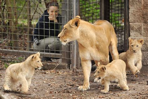 Photos: Baby zoo animals | Entertainment | tucson.com