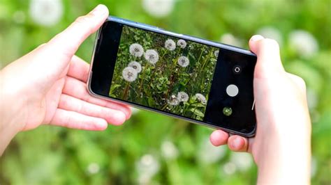 How to Identify Plants With Google Lens: Quick, Easy + FREE - Simply ...