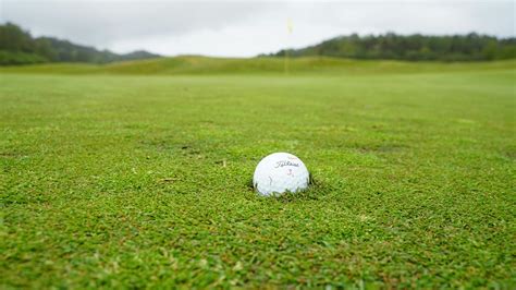 White Golf Ball on Green Grass Field · Free Stock Photo