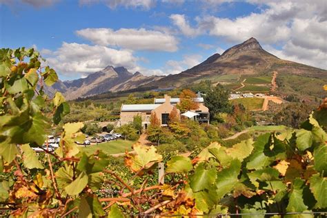 Stellenbosch Wine Farms - the Ultimate Wine Tasting Guide. - STINGY NOMADS