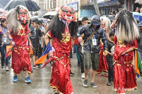 Gai Jatra Cow Festival - Amble Log