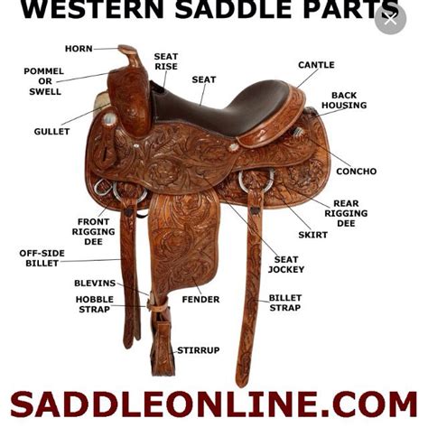 Western Saddle | Western saddle, Horse riding tips, Horse saddles