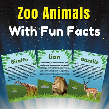 Zoo Animals/Insects/Farm/Ocean/Birds. Real photos. big Bundle With Fun Facts.