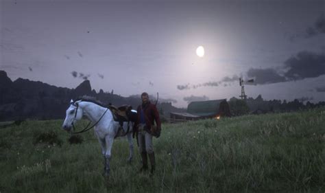 Red Dead Redemption 2 best horse: Finding the White Arabian Horse in ...