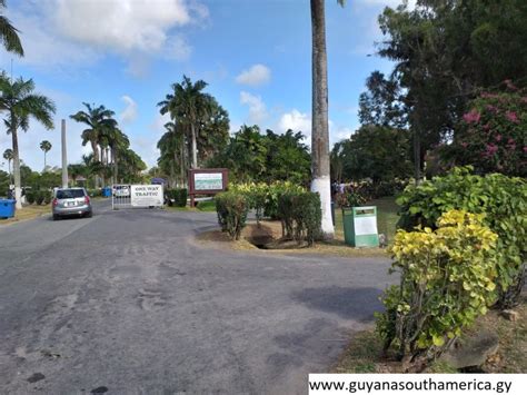 The Botanical Gardens – Photos of Guyana