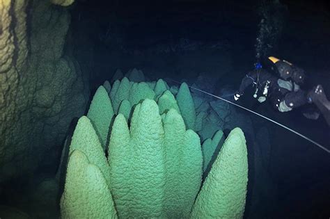 Bonito Caves: Cave Diving in Brazil | X-Ray Mag