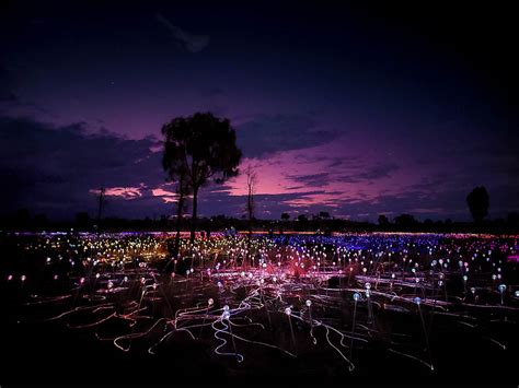 Field of Lights is like a field of dreams – Nighttime at Uluru – LEANNE COLE