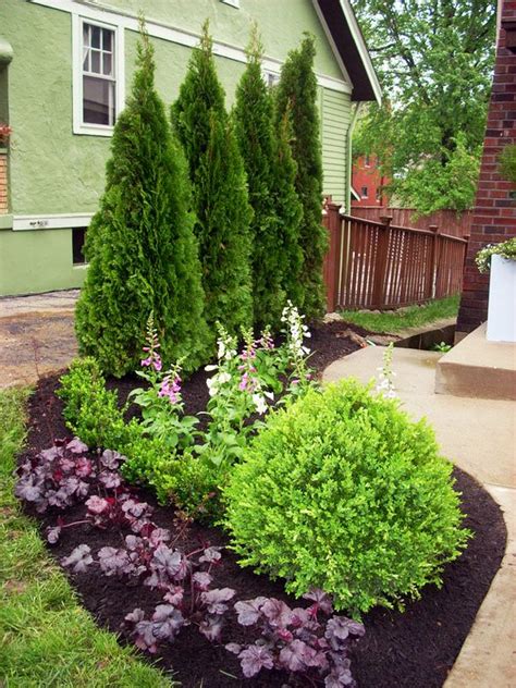 evergreen trees for landscaping | Evergreens Make Sense in Kansas City ...