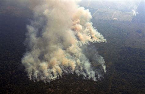 INCENDIO EN EL AMAZONAS: EL CIRCO DE LAS DECLARACIONES OFICIALES