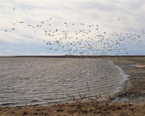 [Playa Lakes] - The Portal to Texas History