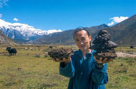 An interview with Pawo Choyning Dorji, the Director of Bhutan’s First ...