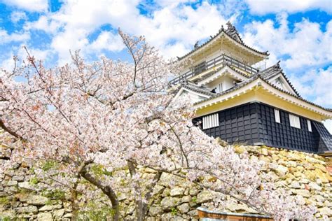 10 amazing things to do in Shizuoka, Japan! - fromJapan