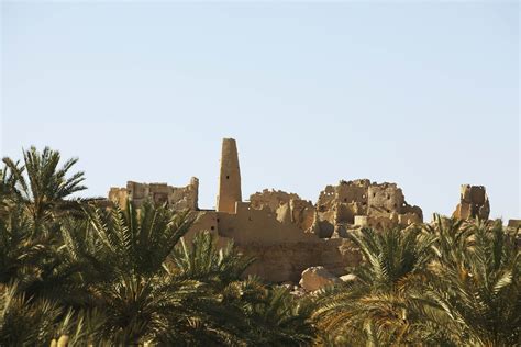 Siwa Oasis travel | Western Desert, Egypt - Lonely Planet