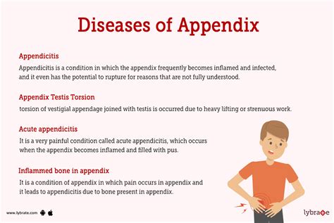 Appendix (Human Anatomy): Picture, Function, Diseases, Tests, and Treatments