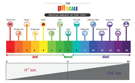 ph scale pic – basic to acidic scale – Crpodt