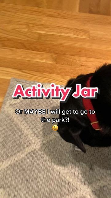 Activity Jar, Black Lab Names, Instagram King, Potty Mouth, Hysterical ...