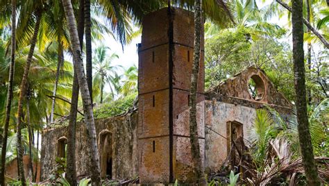 Les îles du Salut en Guyane, du bagne aux étoiles | France Culture