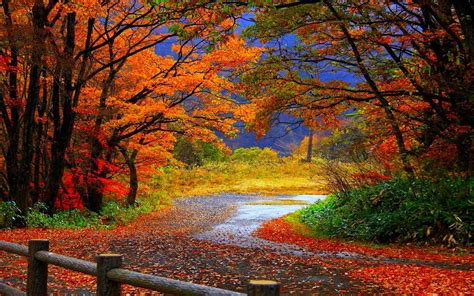 HD 1080p Fall Wallpaper - WallpaperSafari