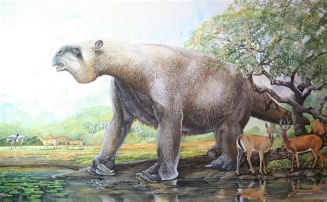 End of the Megafauna - Giant Ground Sloth, Pampas Deer, Common Rhea | Prehistoric animals ...