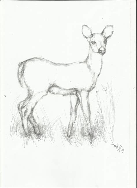 Cute Deer Drawing at GetDrawings | Free download