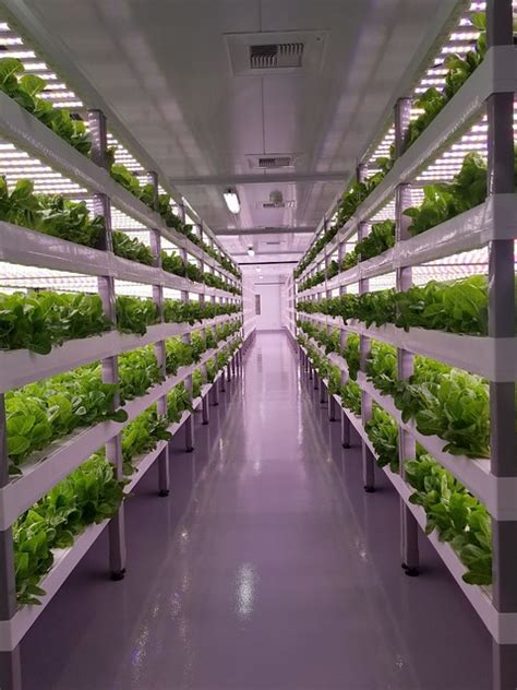 Vertical Farming for the Future | USDA