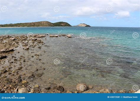 New Caledonia Beach stock image. Image of green, beach - 43073581