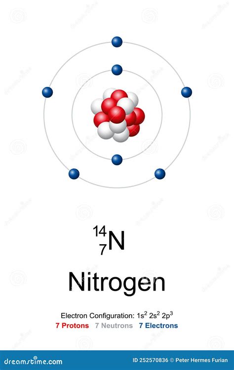 Nitrogen, Atom Model Of Nitrogen-14 With 7 Protons, 7 Neutrons And 7 ...