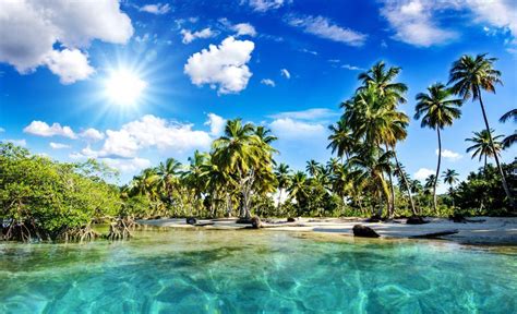 Tropical Landscape Wallpapers - Top Free Tropical Landscape Backgrounds - WallpaperAccess