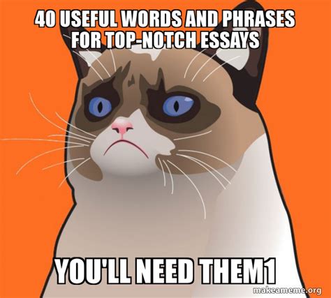 40 Useful Words and Phrases for Top-Notch Essays You'll need them1 ...