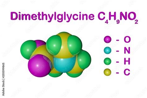 Molecular structure of dimethylglycine. Atoms are represented as spheres with color coding ...