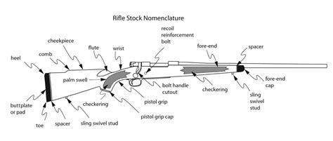 Back To Basics: Rifle Stock Components & Designs | An Official Journal ...