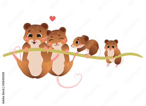 Cute cartoon vole family vector image. Male and female voles with their ...