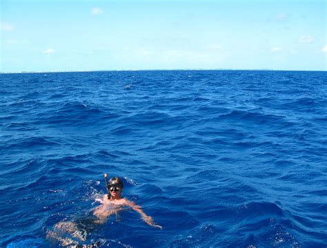 snorkeling in the bermuda triangle | kenji ross | Flickr