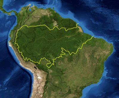 File:Amazon rainforest.jpg - Wikipedia