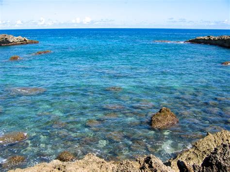 Sharks Cove Snorkeling Secrets! The Complete Guide to Oahu Snorkeling!