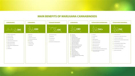 Main benefits of marijuana cannabinoids, information poster with benefits of marijuana ...