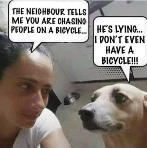 A Funny Dog & Bicycling Meme - Bike Forums